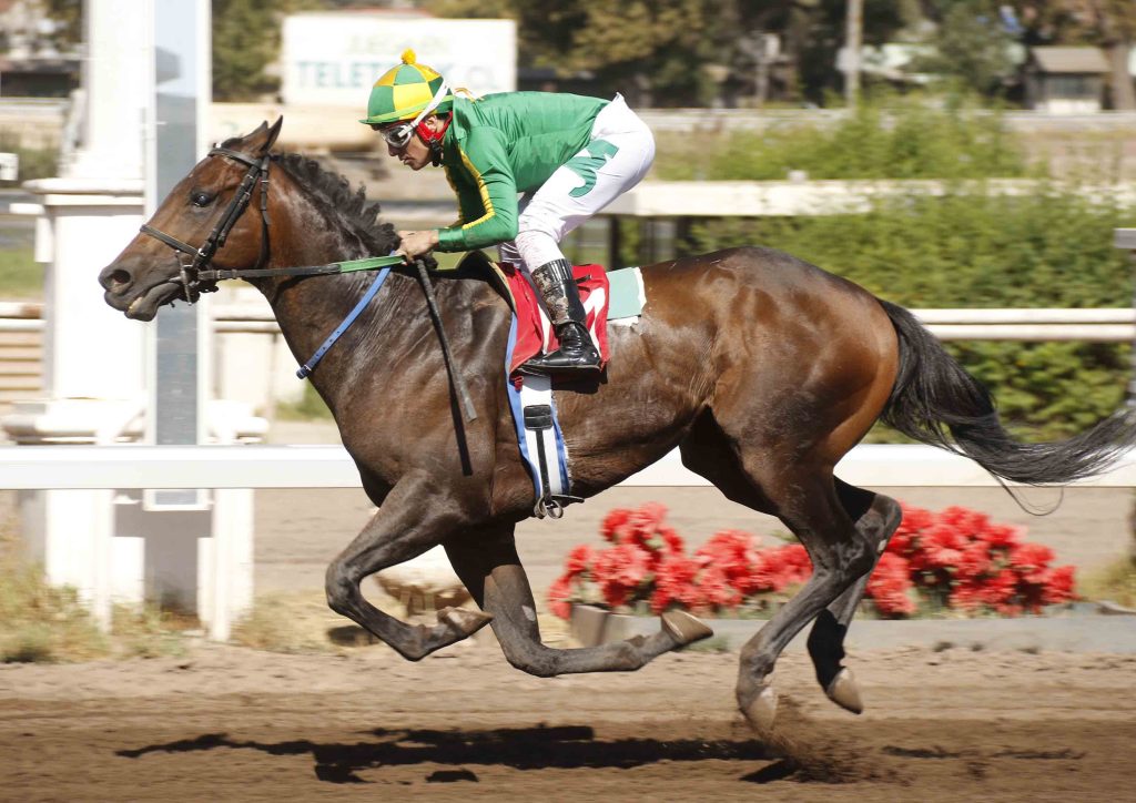 Club Hípico Santiago