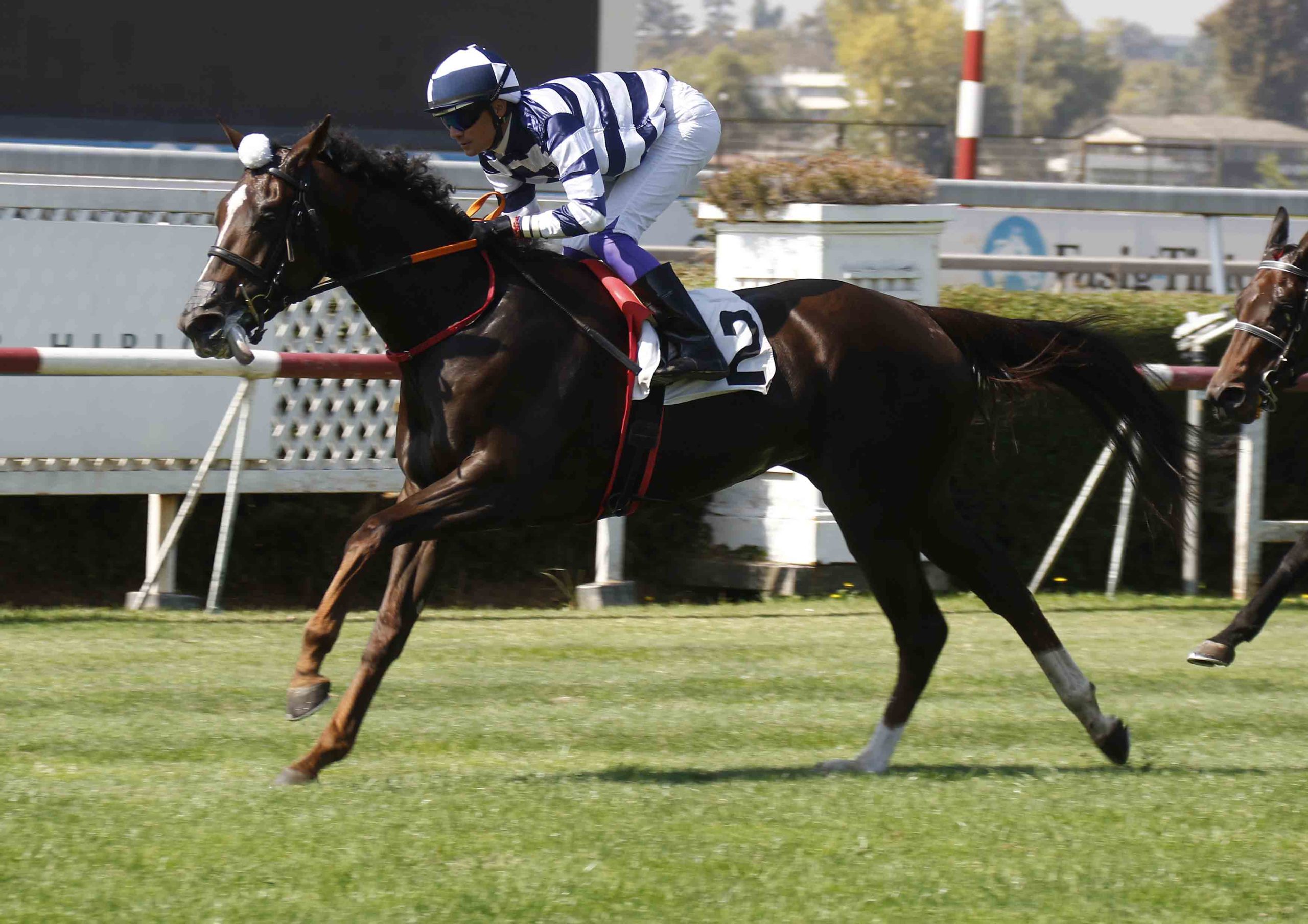 Club Hípico Santiago